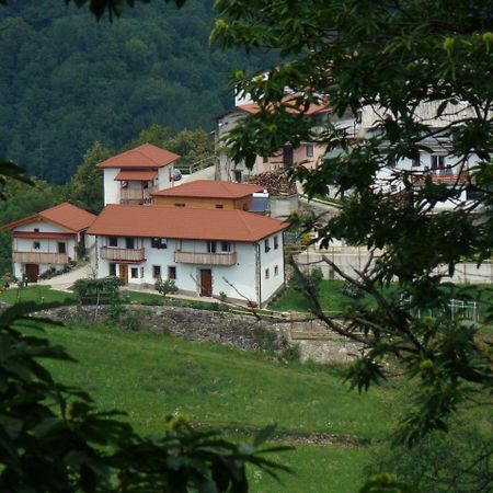 Apartmaji Nena Rocinj Esterno foto