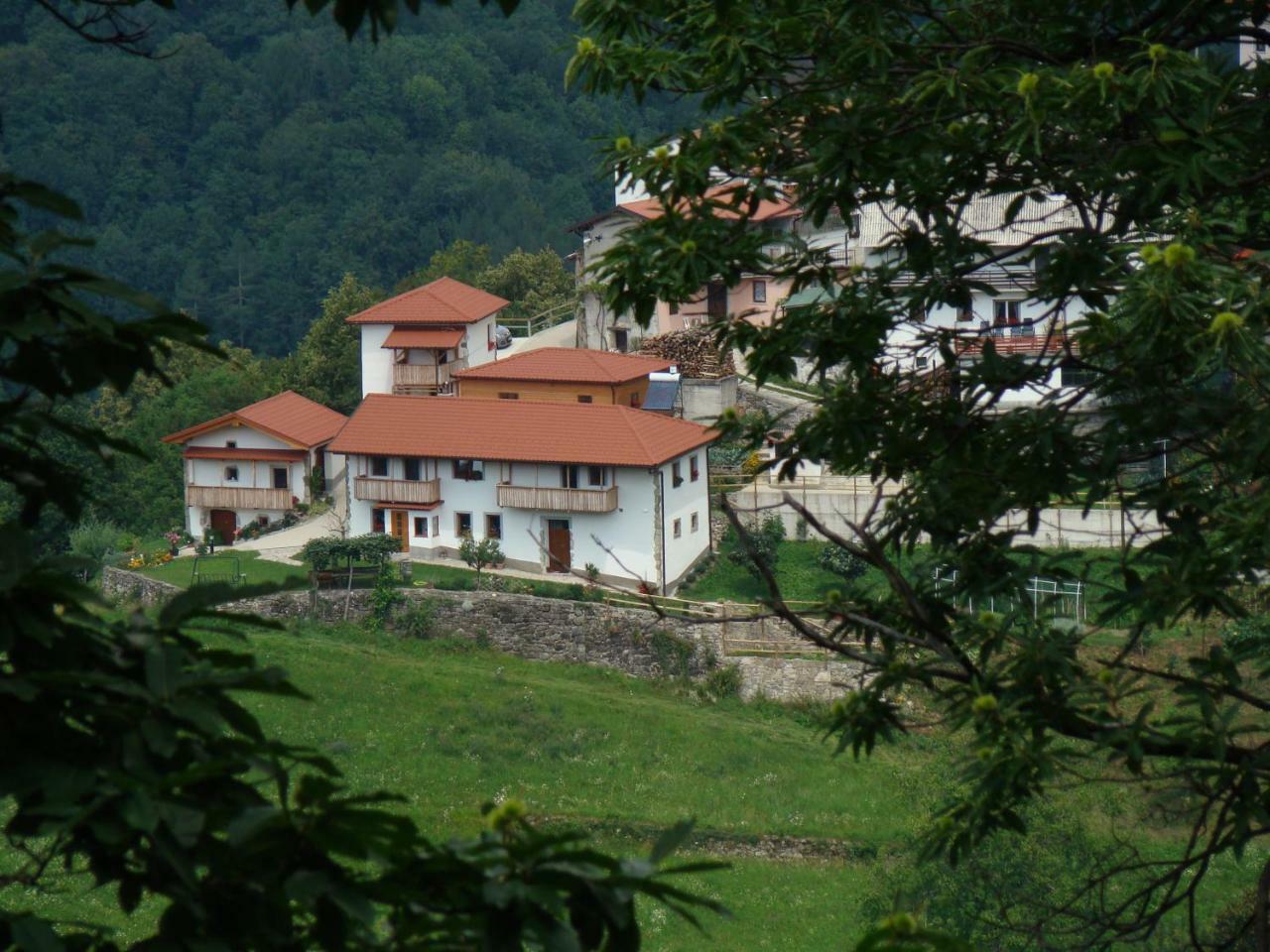 Apartmaji Nena Rocinj Esterno foto